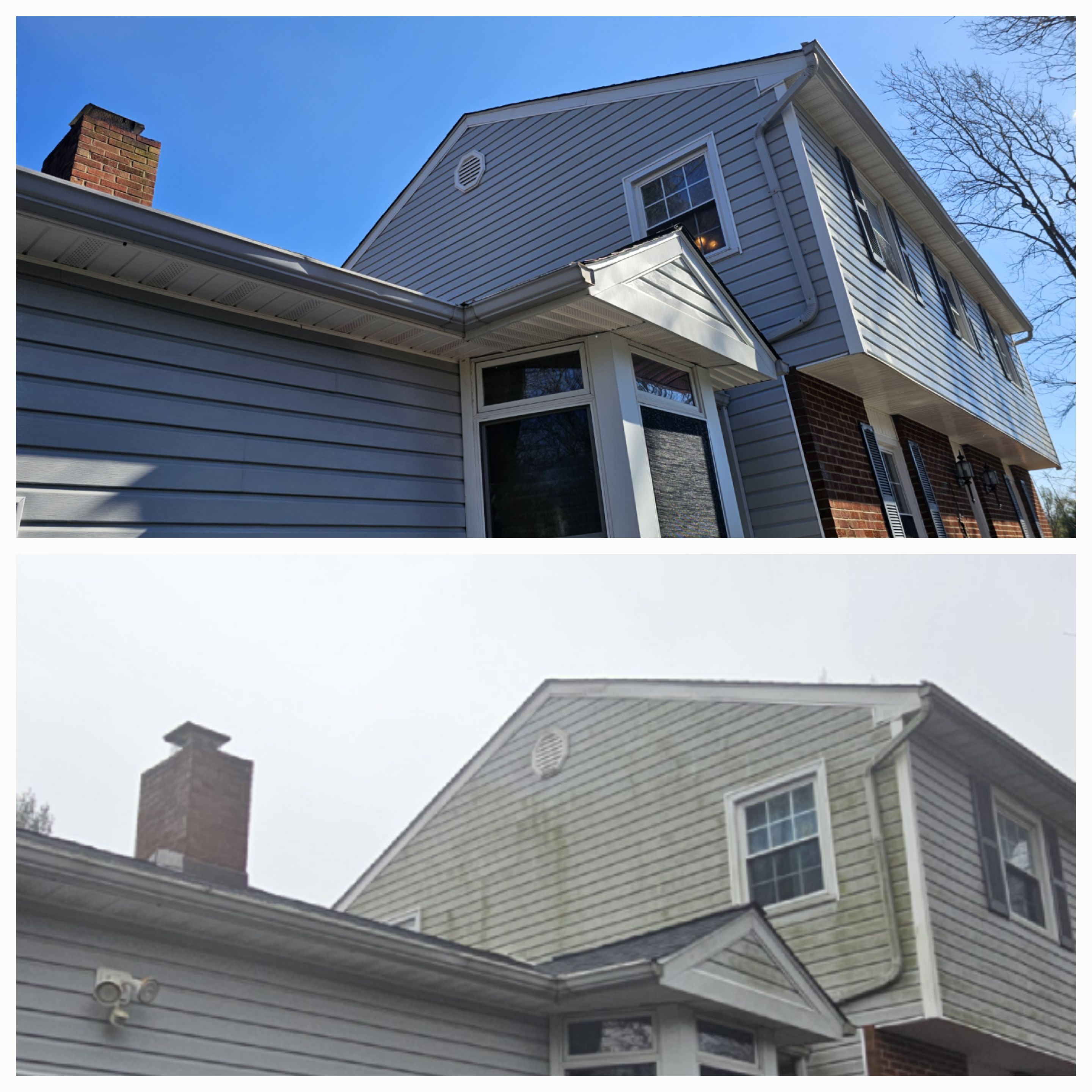 Siding algae removal
