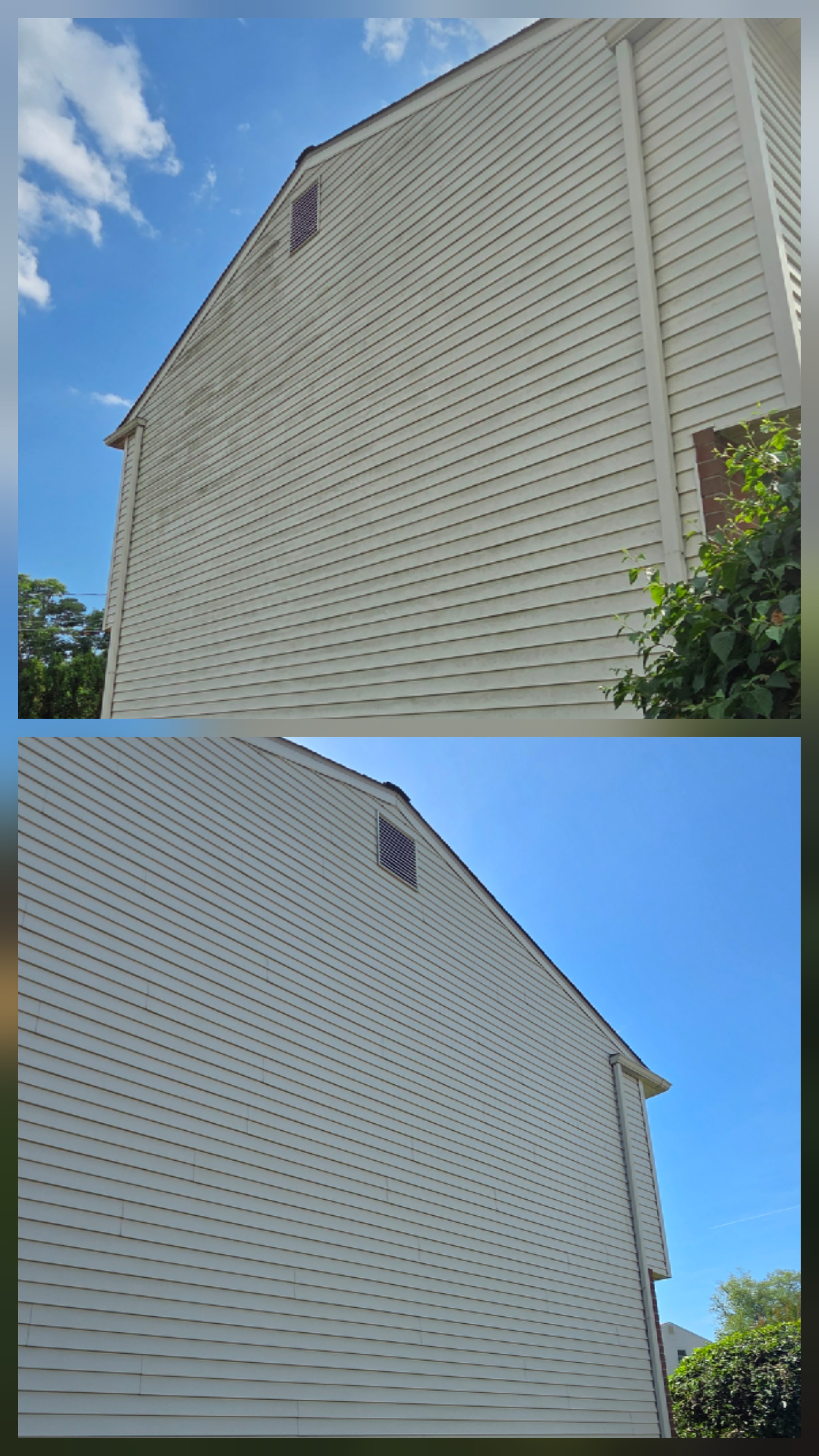 Mold, Algae & Stain Removal